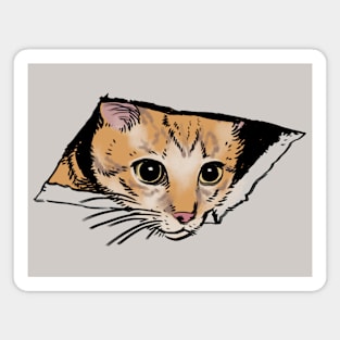 Mudwizard draws the ceiling cat meme / funny animal meme Magnet